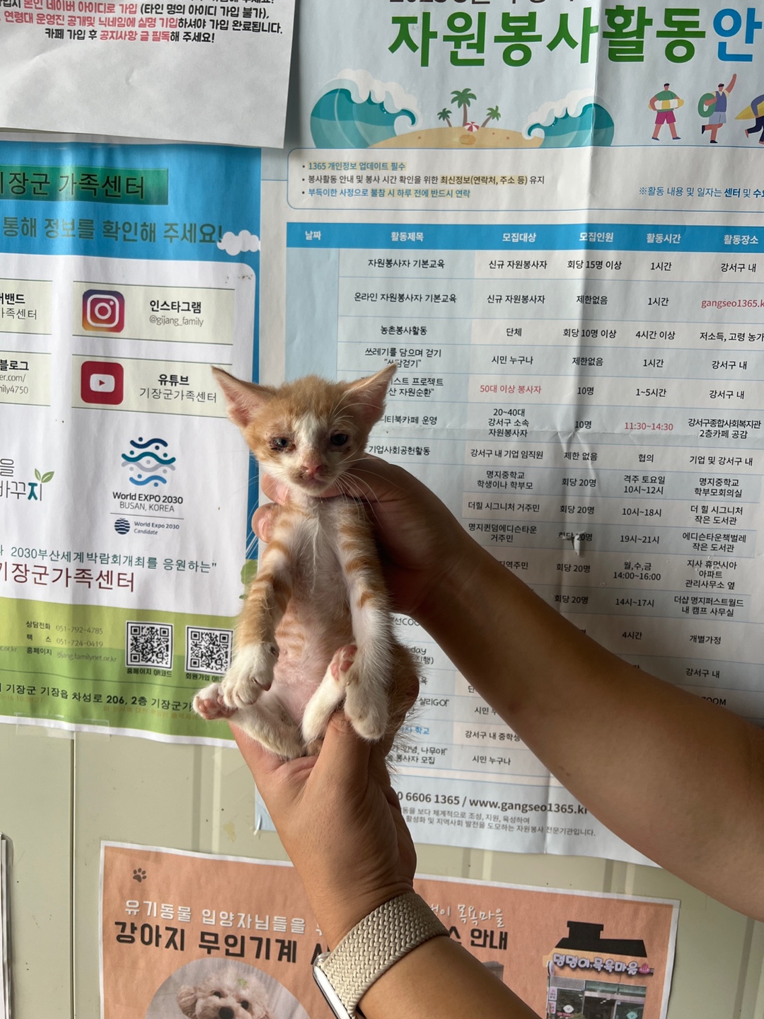 부산동물보호센터_426325202300290